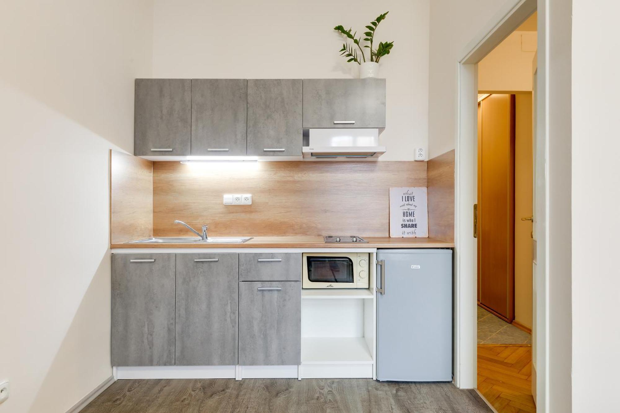 Vita Nejedleho Apartments 布拉格 外观 照片